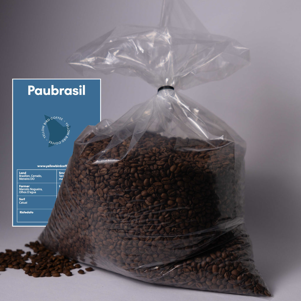 Pau_coffeebeans.jpg